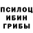 Псилоцибиновые грибы мицелий Hennadii Kasian