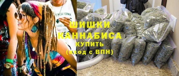 молекула духа Осташков