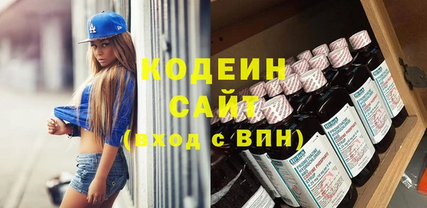 молекула духа Осташков