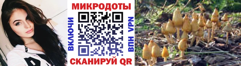 мега как зайти  Донецк  Галлюциногенные грибы ЛСД 