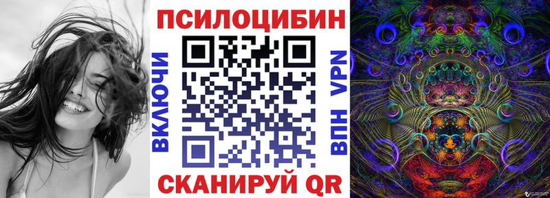 Псилоцибиновые грибы Psilocybine cubensis Донецк